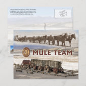 Twintig-mule teamwagons, Death Valley, Californië Briefkaart (Voorkant / Achterkant)