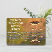 Twintig zwarte hals Stilts Aankondiging (Staand voorkant)