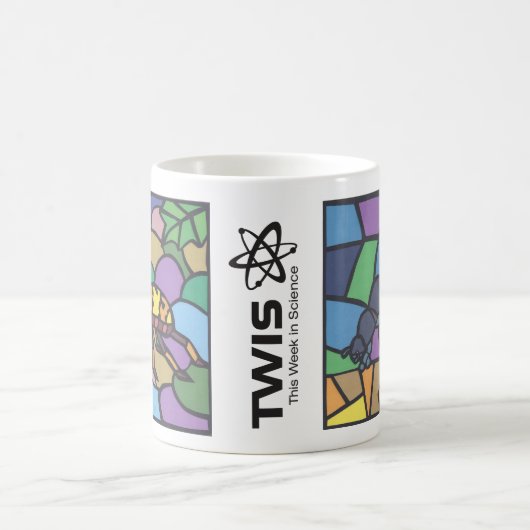 TWIS #blairsanimalcorner Beetle Mania Mug (Centre)