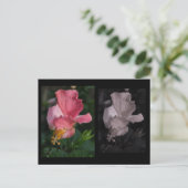 Twisted Hibiscus Briefkaart (Staand voorkant)