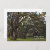 Twisted Live Oaks Briefkaart (Voorkant / Achterkant)