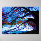 Twisted Oak Poster (Voorkant)