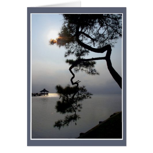 Twisted Pine (Voorkant)