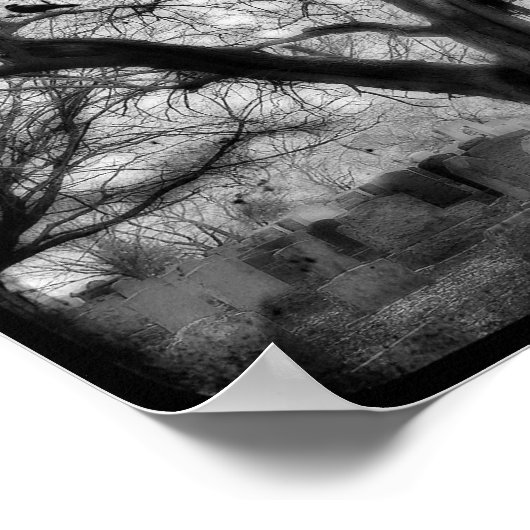 Twisted Poster (Hoek)