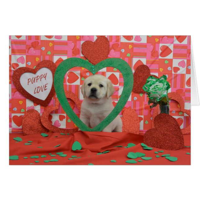 Twister Week 6 Foto (Voorkant Horizontaal)