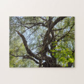 Twists en gebogen wilg boom legpuzzel (Horizontaal)