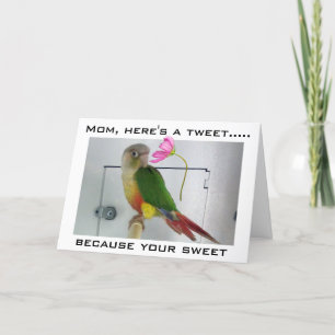 TWITTER MET JE MOEDER HAPPY MOEDERDAG KAART