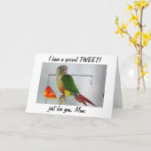 TWITTER? TWEET JE MOEDER VOOR MOEDERDAG KAART (Gele Bloem)