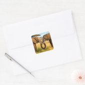 Two African Elephants In Savannah Grass Vierkante Sticker (Envelop)