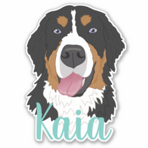 Two Blue Eyed Bernese Mountain Dog Sticker