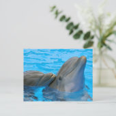 Two bottlenose dolphins briefkaart (Staand voorkant)