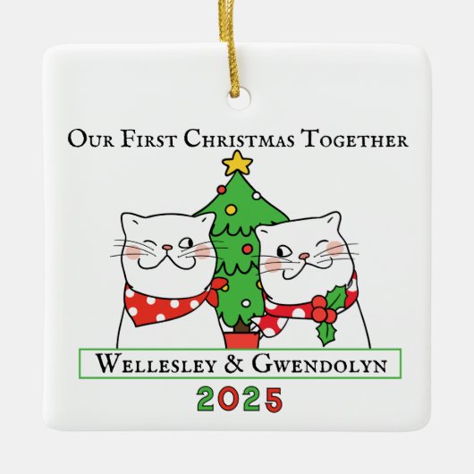 Two Cats First Christmas Together Keramisch Ornament (Voorkant)