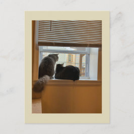 Two Cats on Window Briefkaart