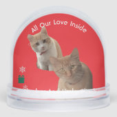Two Cats Photo Text , Replace, Front And Back  (Avant)