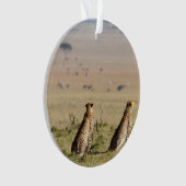 Two cheetahs on the look out (devant)
