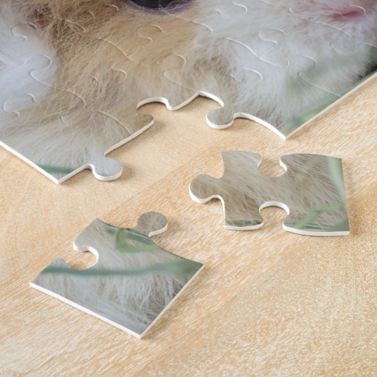 Two Cute Guinea Pigs Puzzle (Côté)