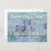 Two Deer Save the Date Briefkaart (Voorkant / Achterkant)