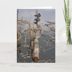 "Two Ducks On a Log" Dank u voor uw kaart