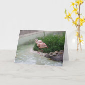 "Two Ducks & Two Flamingos" Hartelijk dank Kaart (Gele Bloem)