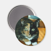 Two Faced Cat Magneet (Voorkant / Achterkant)