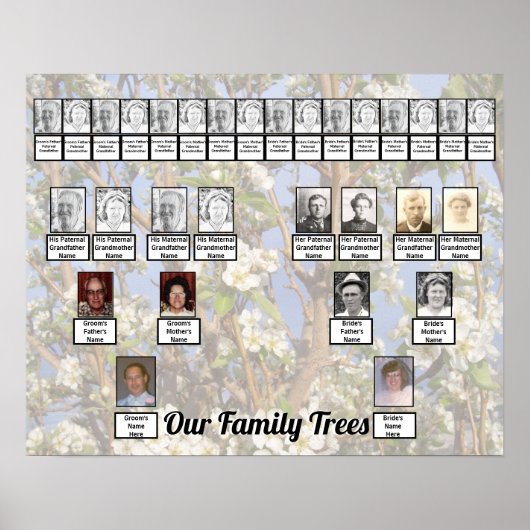 Two Family Trees on White Blossoms Photo Poster (Voorkant)