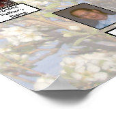 Two Family Trees on White Blossoms Photo Poster (Hoek)