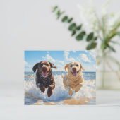 Two Labrador Retrievers on Beach Briefkaart (Staand voorkant)