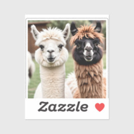 Two Llamas Sticker