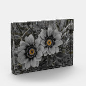 Two of a Kind Fotoblokken (Links)