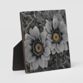 Two of a Kind Fotoplaat (Voorkant)