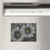 Two of a Kind Magneet (Insitu (Vaatwasser))