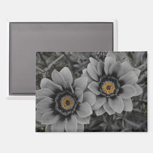 Two of a Kind Magneet (Voorkant / Achterkant)