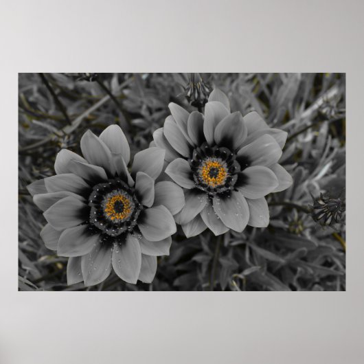 Two of a Kind Poster (Voorkant)