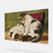 Two Playful Kittens (Angle)