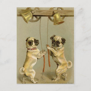 Two pug dogs ringing the Christmas bells Feestdagenkaart