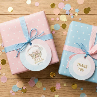 Two Silly Geese Boy & Girl Twins Birthday Bedankjes Labels
