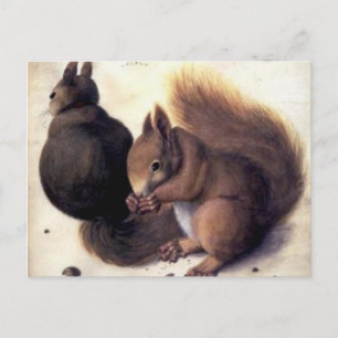 "Two Squirrels" van Albrecht Dürer Briefkaart
