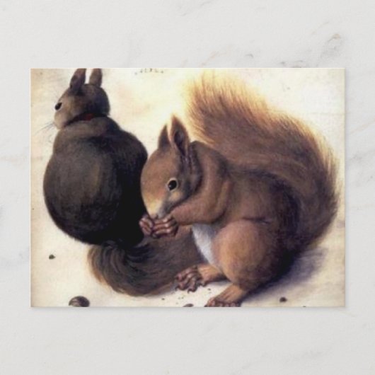 "Two Squirrels" van Albrecht Dürer Briefkaart (Voorkant)