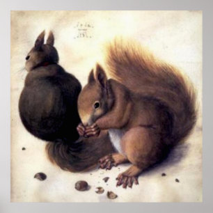"Two Squirrels" van Albrecht Dürer Poster