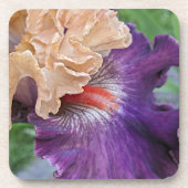 Two-tone Bearded Iris Bloom Floral Bier Onderzetter (Voorkant)