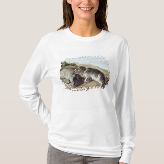 Two Young Seals on the Shore, c.1650 T-shirt (Voorkant)