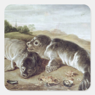 Two Young Seals on the Shore, c.1650 Vierkante Sticker