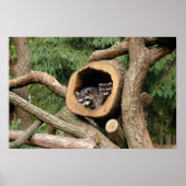 Two's Company Poster (Voorkant)