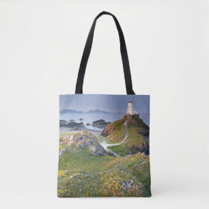 Twr Mawr Lighthouse op Llanddwyn Island Draagtas