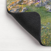 Twr Mawr Lighthouse op Llanddwyn Island Muismat (Hoek)