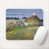 Twr Mawr Lighthouse op Llanddwyn Island Muismat (Met muis)
