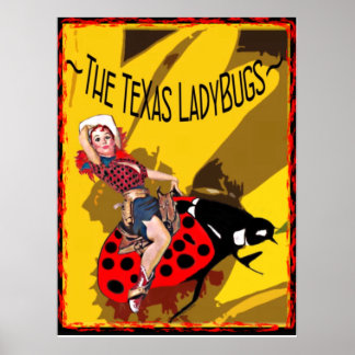 TX LadyBugs-Poster met Kat Bug Poster