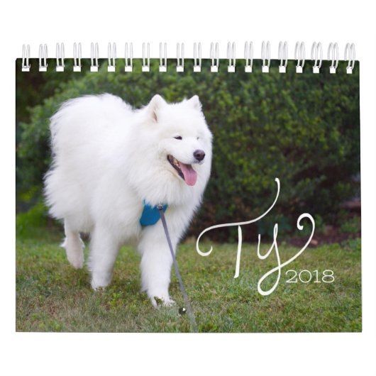 Ty 2018 kalender (Hoes)