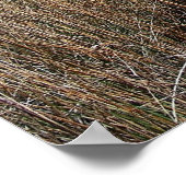 Tybee Island Georgia pathway poster foto (Hoek)