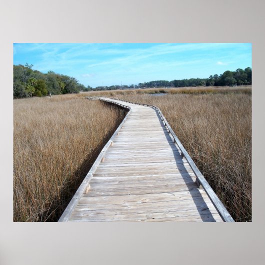Tybee Island Georgia pathway poster foto (Voorkant)
